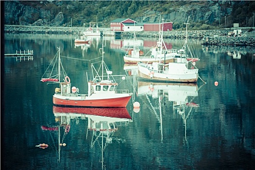 渔船,港口,瑞恩,罗浮敦群岛,挪威