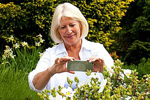 老年,女人,照相,花,花园,智能手机