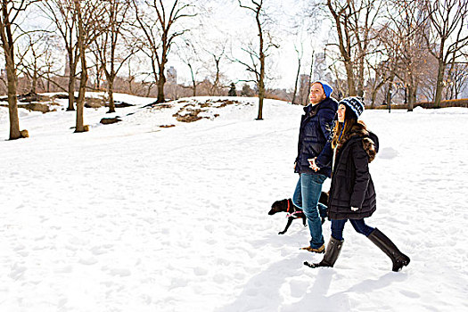 年轻,情侣,漫步,雪中,狗,中央公园,纽约,美国