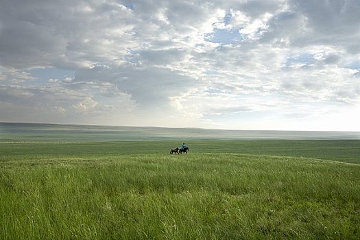 骑手,马,地点,蒙古,中国