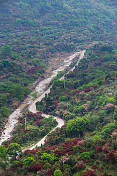 盘山公路,道路,蜿蜒山路