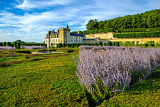 城堡,维朗德里城堡,卢瓦尔河谷