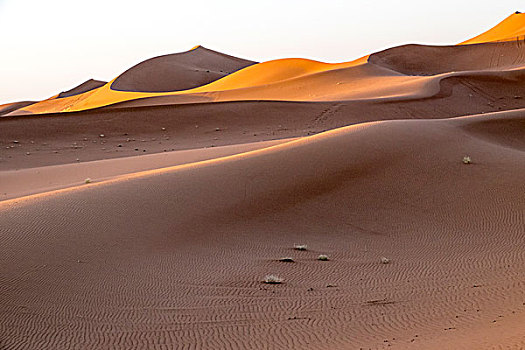 摩洛哥,撒哈拉,沙丘,宽