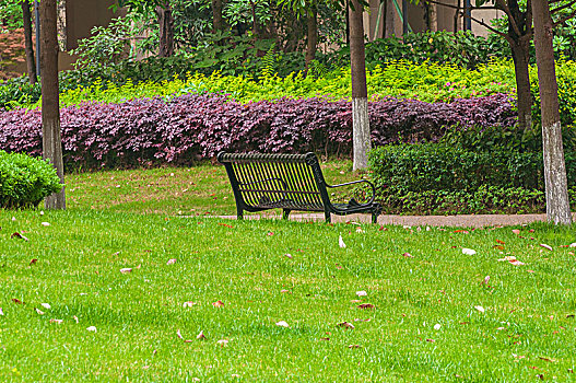 草坪和长椅