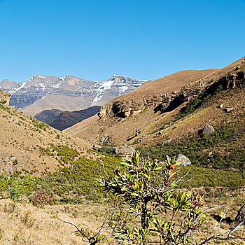 模糊,南非,山谷,荒凉,脏,道路,石头,树,天空