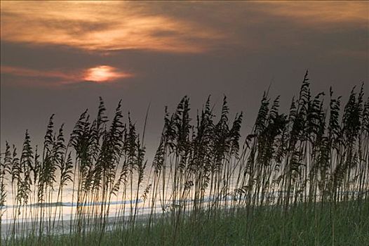 日出,亨丁顿海滩,州立公园,南卡罗来纳,美国