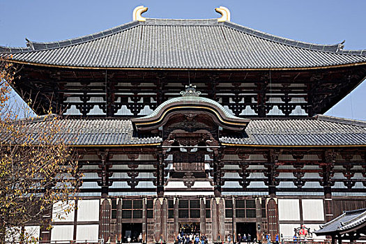 大佛,东大寺,奈良,日本