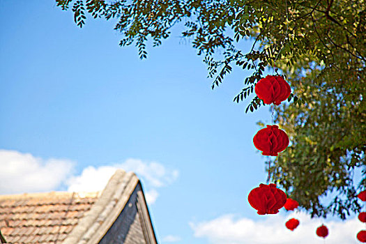 蓝天白云下绿色的树上挂着两串中国红色灯笼