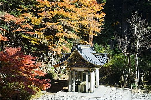 日本,世界遗产,庙宇,神圣,喷泉