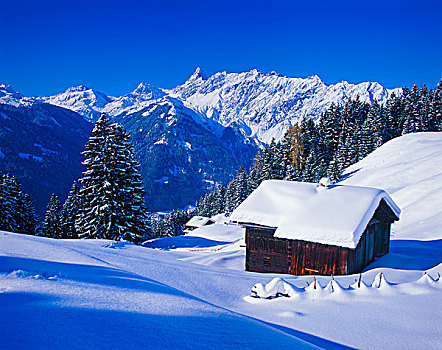 冬季风景,蒙塔丰,靠近,奥地利