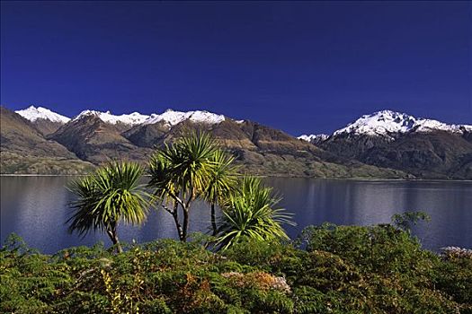 瓦纳卡湖,山峦,新西兰