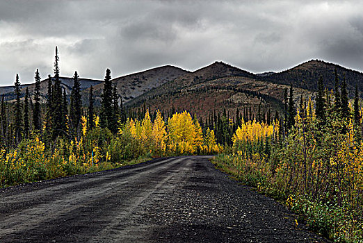 戴珀斯特公路,山,育空地区,加拿大