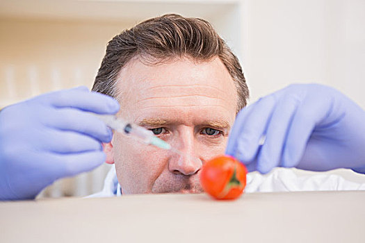 科学家,注射,西红柿
