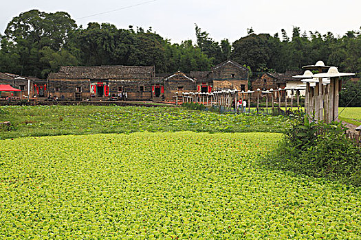 广东河源苏家围客家风情村