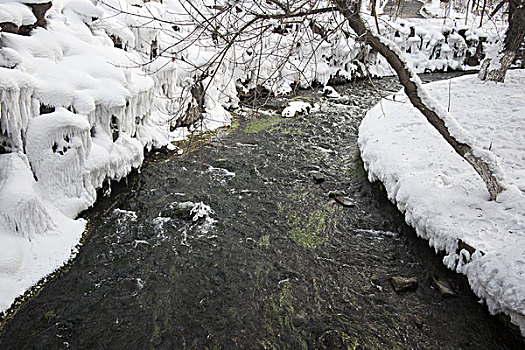 冬日雪景与流水