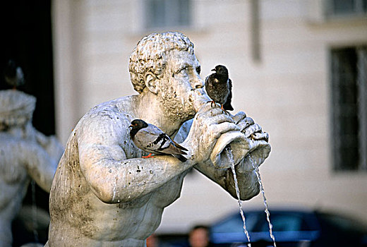 喷泉,雕塑,纳佛那广场,罗马,拉齐奥,意大利,欧洲