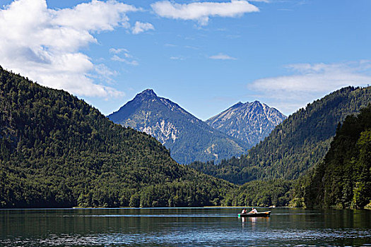 湖,靠近,史旺高,士瓦本,巴伐利亚,德国,欧洲