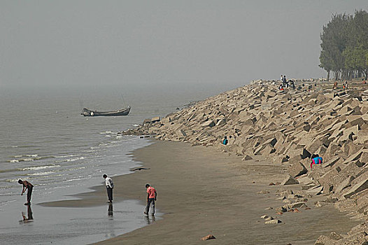 海滩,孟加拉,2008年