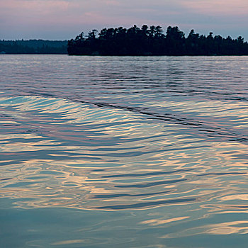 湖,黄昏,清水,湾,木头,安大略省,加拿大