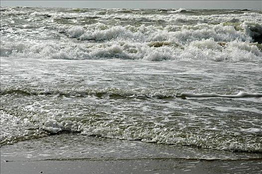 波浪,北海,荷兰