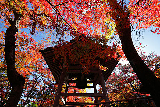 日本京都岚山常寂光寺