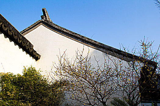 中式庭院建筑