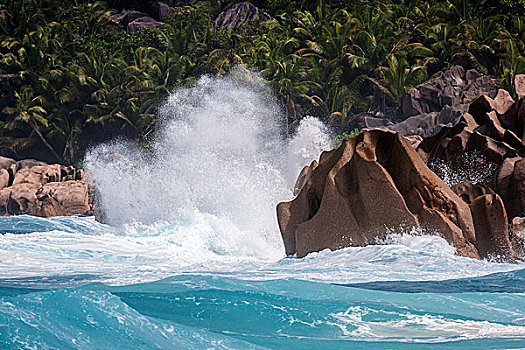 海浪,涡流,海洋,花冈岩,石头,棕榈树,后面,拉迪格岛,印度洋,塞舌尔,非洲