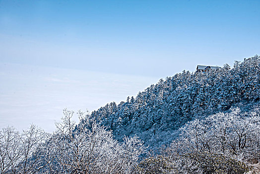 四川大邑县西岭雪山丛林中的冰挂雾凇