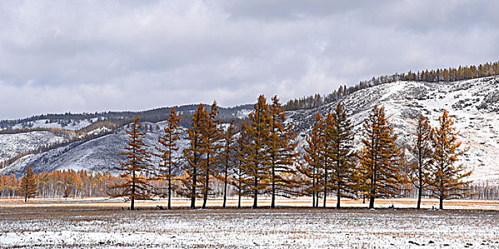 阿尔山雪景