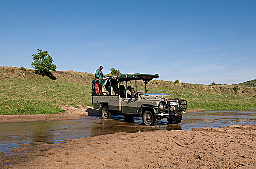 吉普车,旅游,马赛马拉国家保护区,肯尼亚