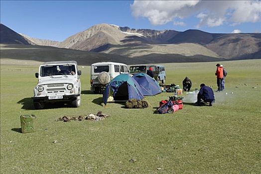 游客,露营,帐篷,吉普车,阿尔泰,蒙古,亚洲