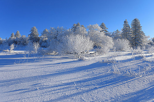 雪岭雾凇风光