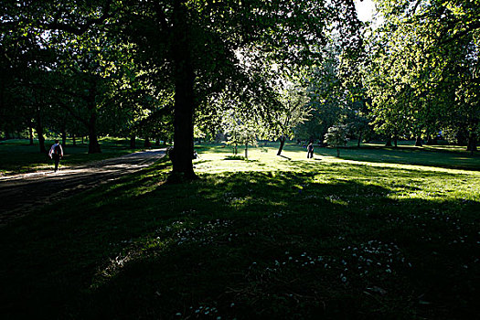阳光,绿色公园,伦敦,英国