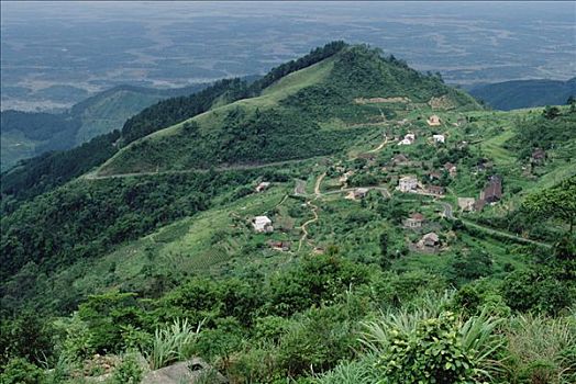 苏格兰帽,乡村,老,法国,道路,三岛山国家公园,越南