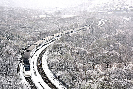 花海列车秒变雪国列车