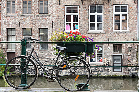 自行车,根特,比利时