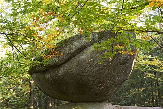 石头,靠近,巴伐利亚森林,德国