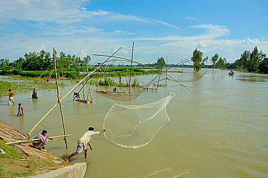 渔民,抓住,鱼,水,孟加拉,八月,2007年