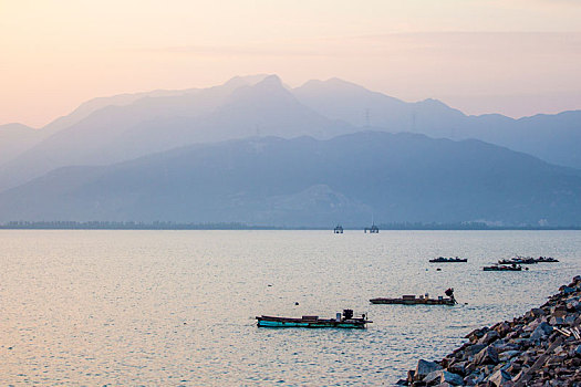 江门银湖湾湿地风光