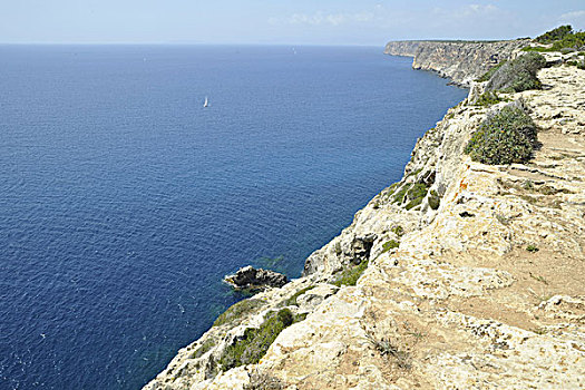 悬崖,帽,马略卡岛,巴利阿里群岛,西班牙,欧洲