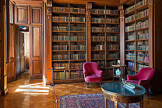图书馆,阅览室,宫殿,匈牙利,欧洲