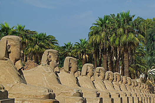 卢克索神庙,道路,狮身人面像,路克索神庙,尼罗河,河,埃及