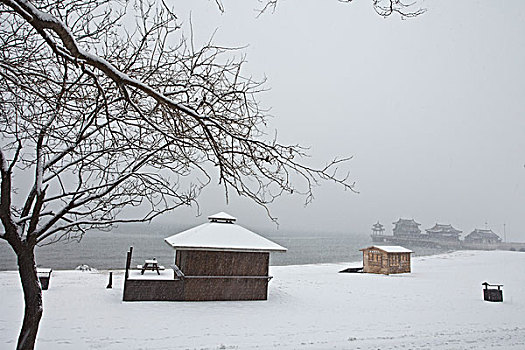 山海关,老龙头,大雪,雪后,海滨,建筑,长城,洁白,冬季,寒冷,海神庙