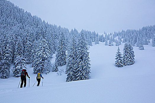 滑雪,攀登,小屋,冬天,兰格丽斯,巴伐利亚,德国