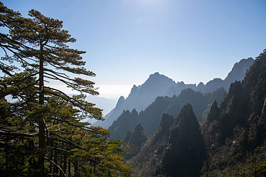 安徽黄山自然风景区