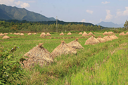 安徽农村