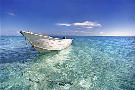 法属玻利尼西亚,塔希提岛,波拉岛,白色,船,漂浮,青绿色,水