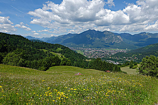 草场,草地,山,阿尔卑斯峰,楚格峰,后面,加米施帕藤基兴,地区,陆地,上巴伐利亚,巴伐利亚,德国,欧洲