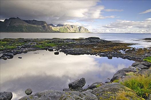 海边风景,诺尔兰郡,罗弗敦群岛,挪威,斯堪的纳维亚,欧洲