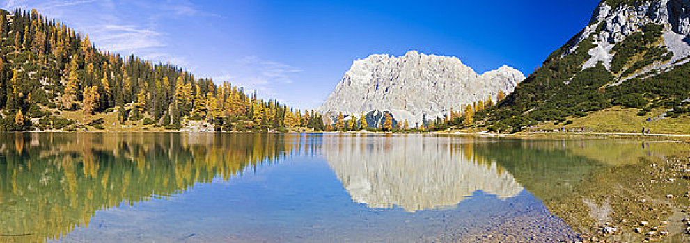 落葉松,楚格峰,湖,提洛爾,奧地利